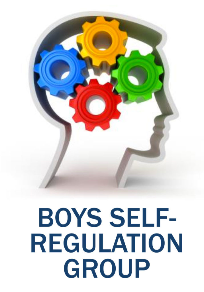 Boys Self Regulation Group